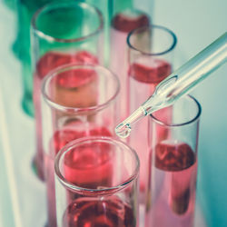 Close-up of pipette and test tubes