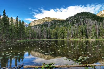 Scenic view of lake in forest against sky