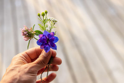 Close-up of hand holding small purple flower