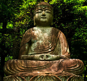 Close-up of statue against trees