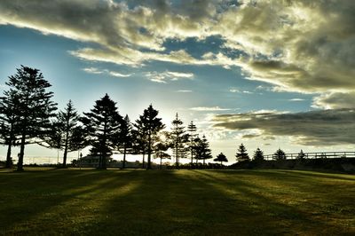 Scenic view of grassy field against cloudy sky