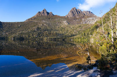 Picturesque mountain landscape of cradle mountain with reflection in smooth water of lake dove