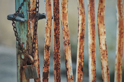 Close-up of rusty metal fence