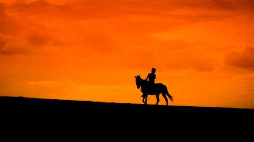 Low angle view of silhouette boy riding horse against orange sky