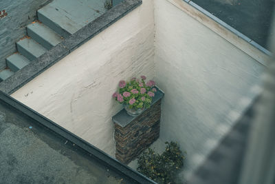 High angle view of potted plant on window