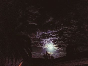 Low angle view of illuminated tree against sky