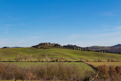 Scenic view of agricultural field against sky