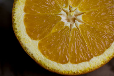 Close-up of lemon slice against black background