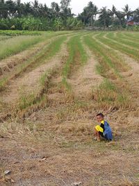 Man working in field