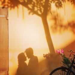 Woman holding plant at sunset