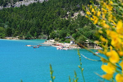 Scenic view of sea and trees