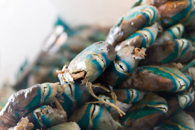 Close-up of fish for sale at market