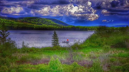 Scenic view of lake by field against sky