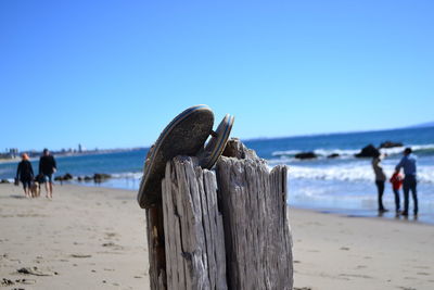 Close-up of birds on beach against clear blue sky