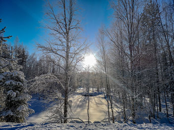 Bare trees on snow covered land against sky