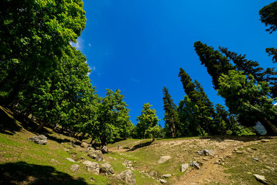 Beautiful mountain landscape of sonamarg, jammu and kashmir state, india