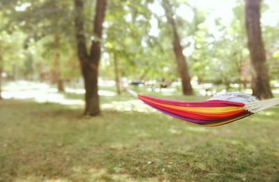Close-up of hammock on grass against trees