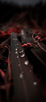 Close-up of red leaf on metal table