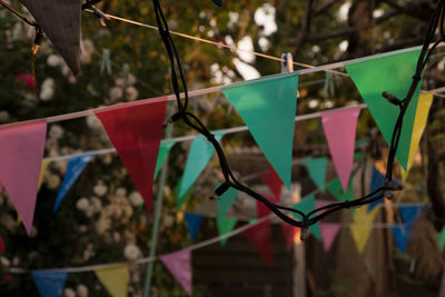 Close-up of multi colored flags hanging from tree