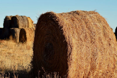 bale