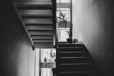 Monochrome geometry of staircase