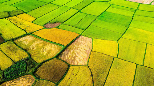 Full frame shot of multi colored agricultural field