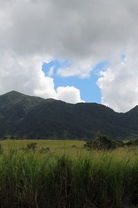 Scenic view of field against sky