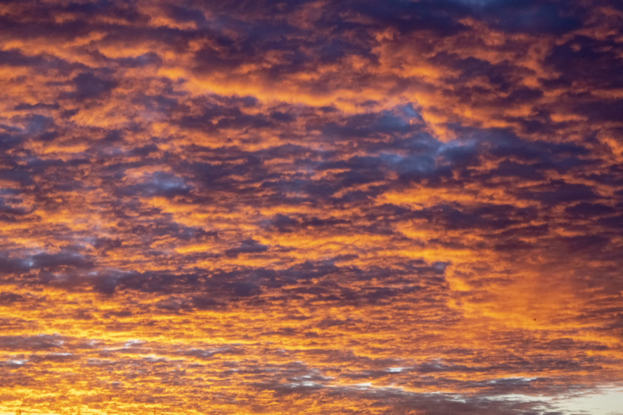 SCENIC VIEW OF DRAMATIC SKY