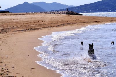 Scenic view of beach against mountains