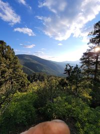 Scenic view of landscape against sky