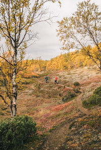 Rear view of people walking on land against sky during autumn