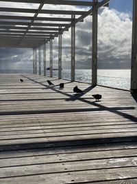 Graphics - pier, birds, sea, sky