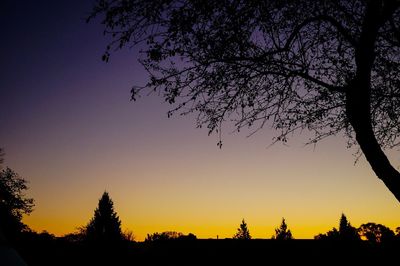 Silhouette trees against sky at sunset