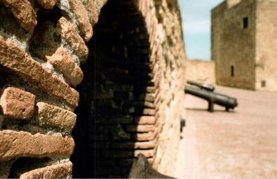 Close-up of old ruin