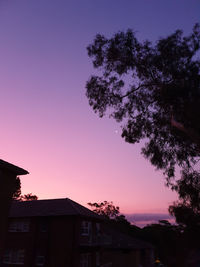 Silhouette tree and buildings against sky at sunset