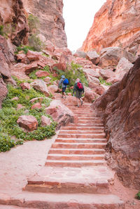 Rear view of men walking on staircase