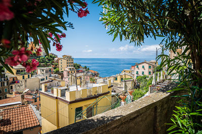 Beautiful city vernazza at cinque terre