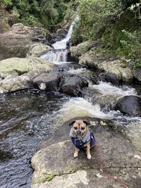 adventure