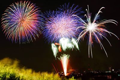 Low angle view of firework display at night