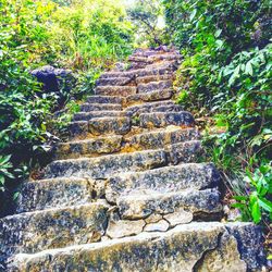 Staircase leading to staircase