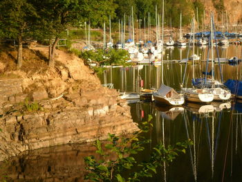 Sailboats moored in lake