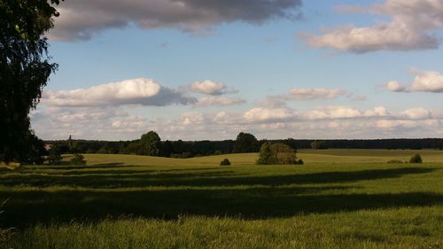 Scenic view of landscape against sky