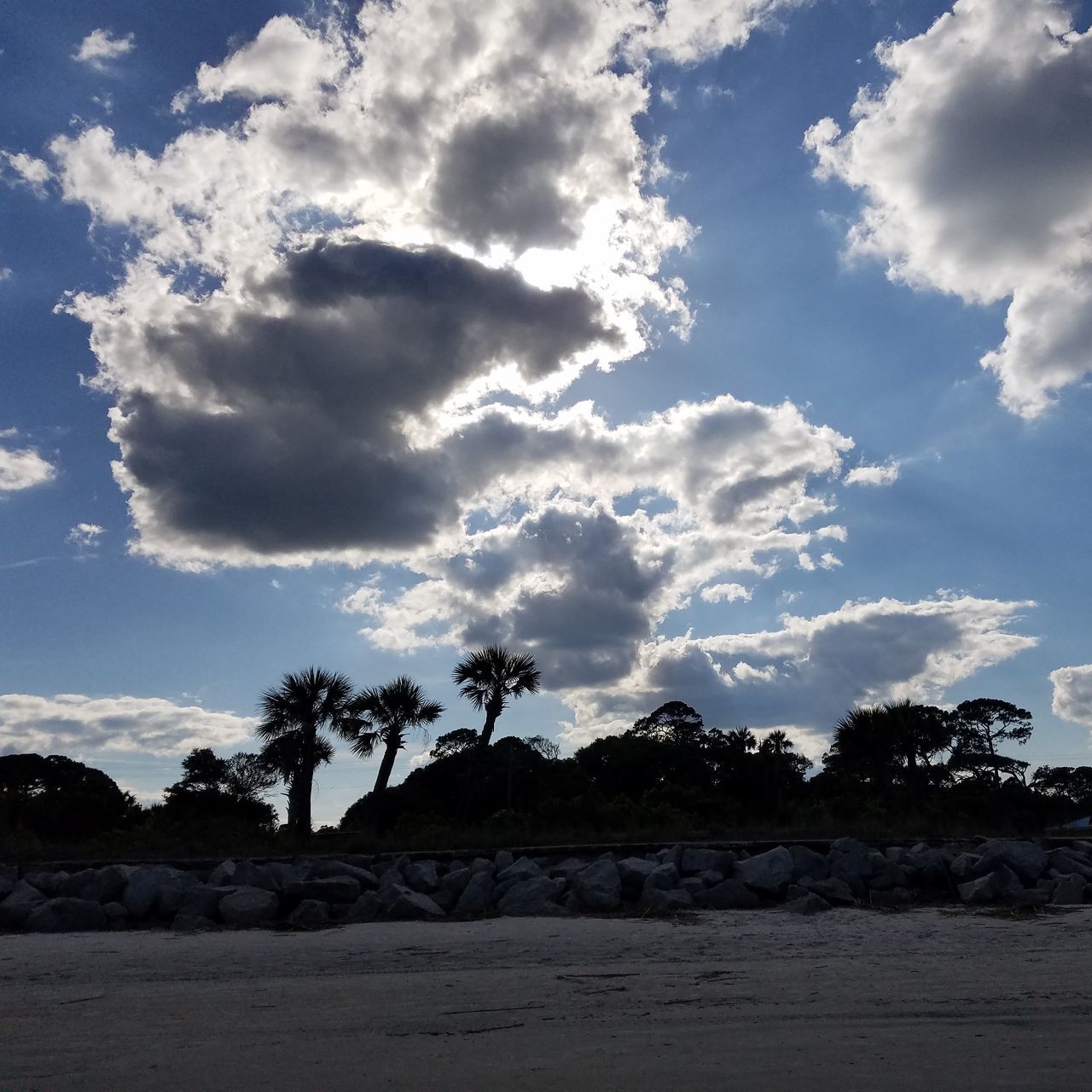 TREES ON LANDSCAPE AGAINST CLOUDY SKY