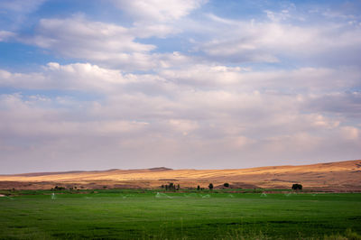 Irrigation the alfalfa field with wheat field in background and a partly cloudy sky in 