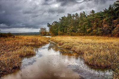 Scenic view of lake in forest against dramatic sky