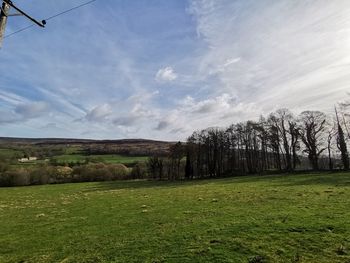 Scenic view of field against sky