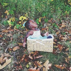 Boy on field during autumn