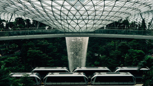 Interior of greenhouse