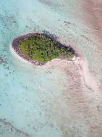 Aerial view of beach