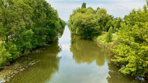 Scenic view of lake amidst trees against sky